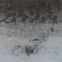 1114-2 (2014), acrylique sur toile, 80 x 80 cm, ©Charlotte Callens (https://www.charlotte-callens.fr)