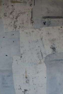 Les arpents gris 120x80cm 2009©Charlotte Callens (www.charlotte-callens.fr)