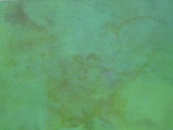 Terre (2008), acrylique sur toile, 89 x 116 cm ©Charlotte Callens (www.charlotte-callens.fr)